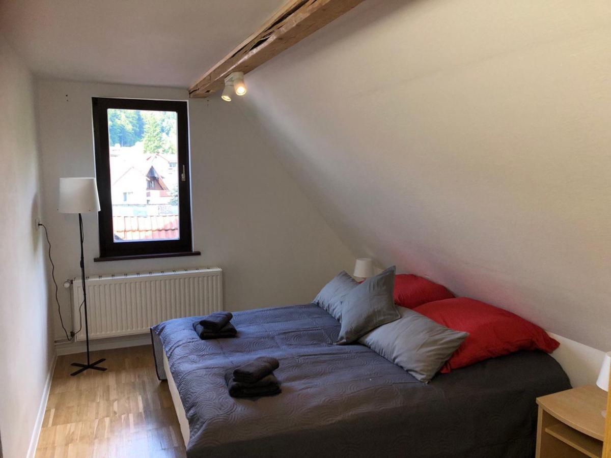 Ferienhaus Art Apartment - Harz Zorge Exterior photo