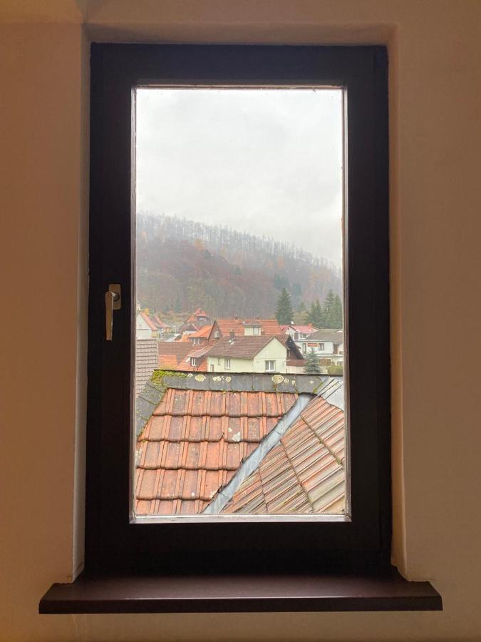 Ferienhaus Art Apartment - Harz Zorge Exterior photo